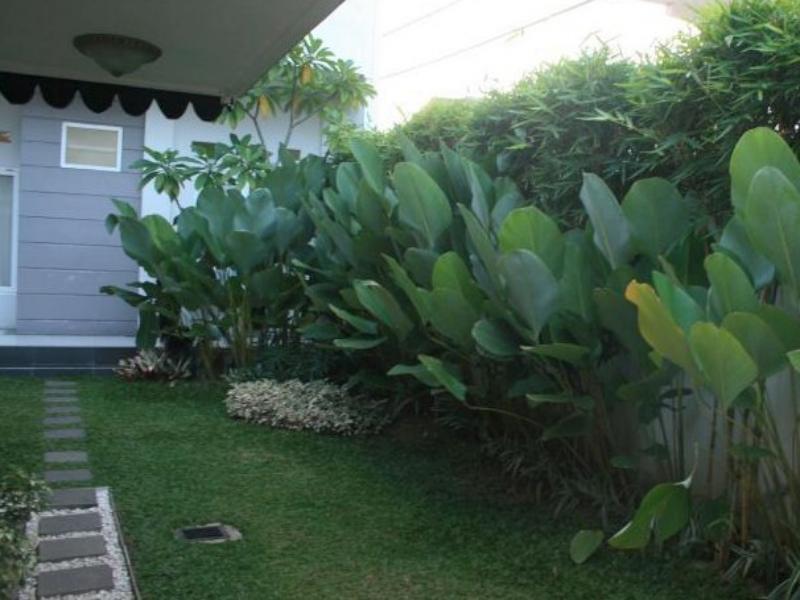 The Sriwijaya Hotel - Halal Hotel Padang  Exterior photo
